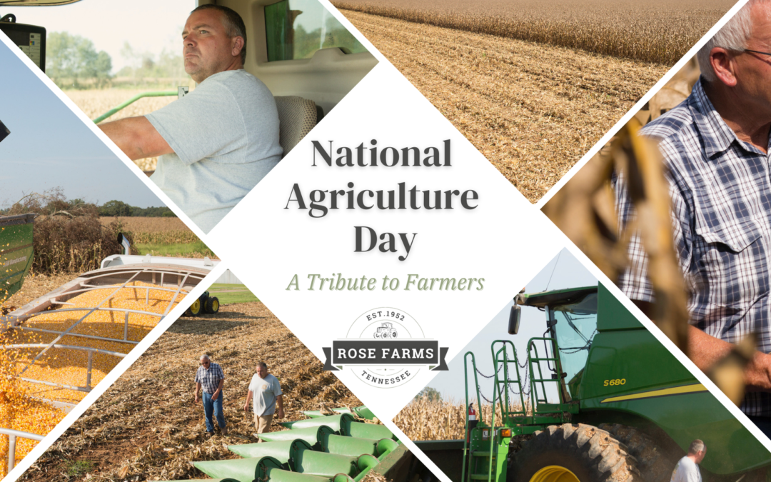 A Tribute to Farmers on National Agriculture Day